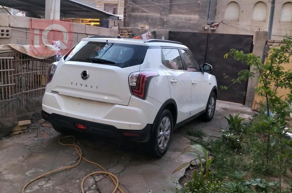 سانغ يونغ تيفولي